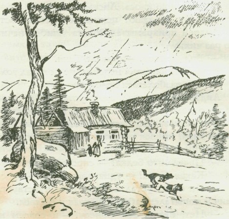 goluboi_ogonek-14.jpg