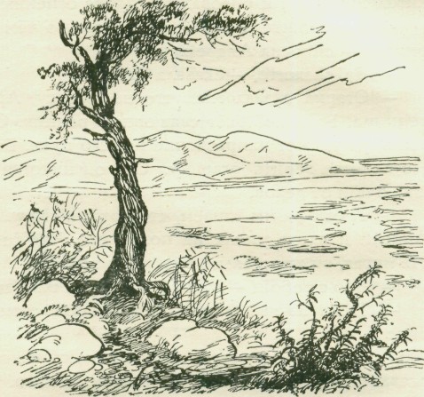 goluboi_ogonek-20.jpg